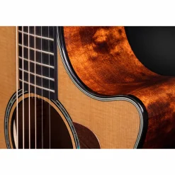 Taylor Grand Auditorium 614ce Maple Acoustic-Electric Guitar
