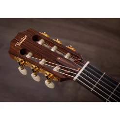 Taylor Jason Mraz Signature Model JMSM Indian Rosewood Acoustic-Electric Classical Guitar