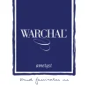 Warchal Ametyst Violin E String