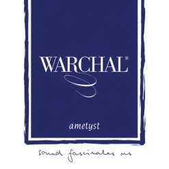 Warchal Ametyst Violin E String