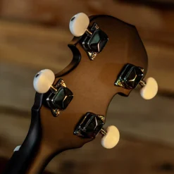 Washburn Americana B8 Banjo Outfit