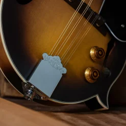 Washburn Americana M3E Acoustic-Electric Mandolin Outfit