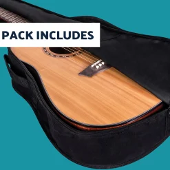 Washburn Apprentice D5 Acoustic-Electric Guitar Outfit
