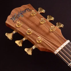 Washburn Bella Tono Allure SC56S Acoustic-Electric Guitar