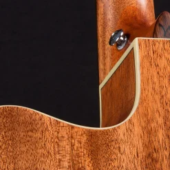 Washburn Heritage D100SWCE Acoustic-Electric Guitar